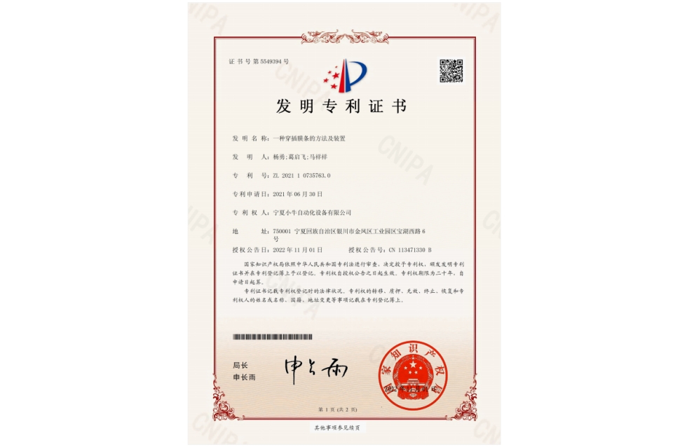一种穿插膜条的方法及装置